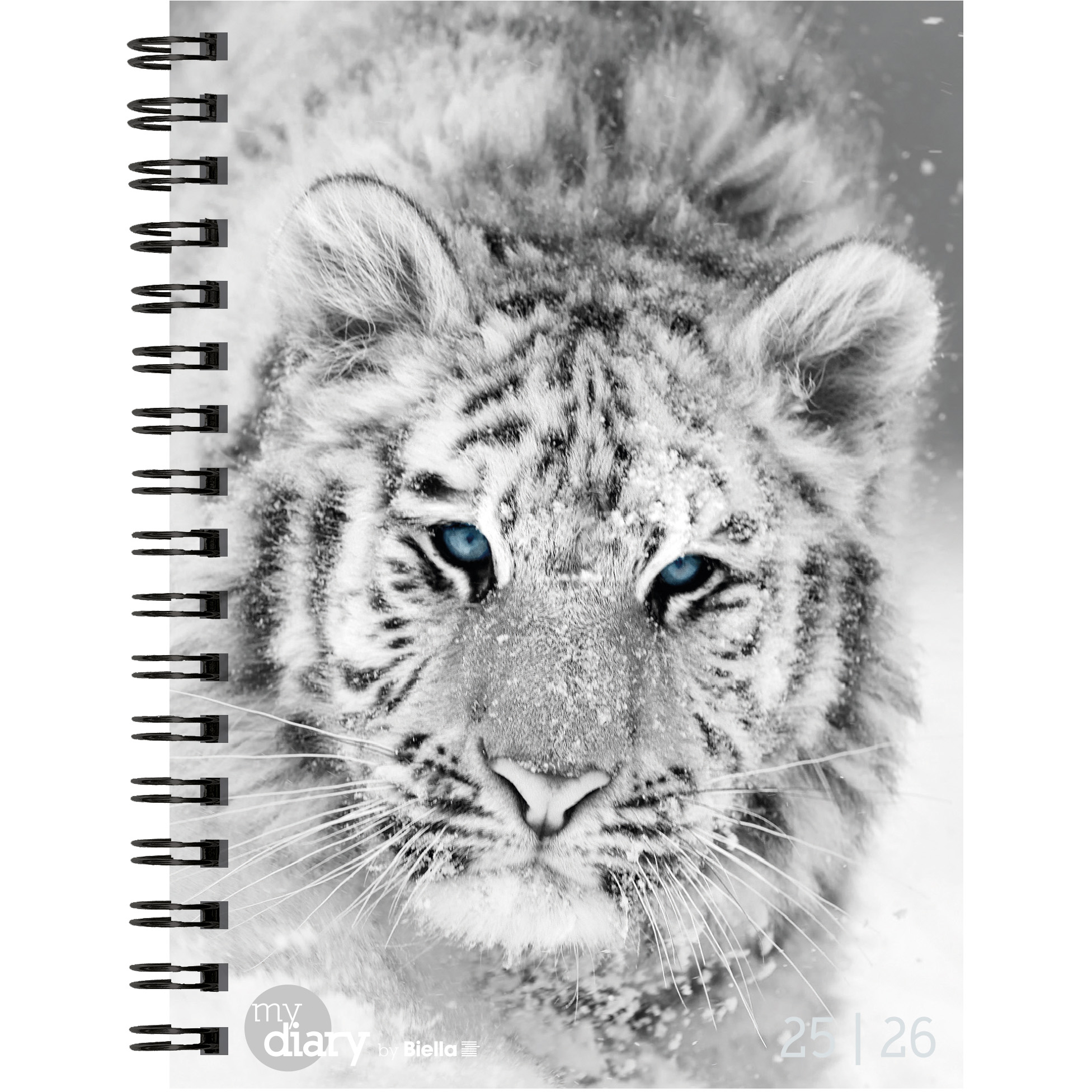 BIELLA Schüleragenda BlackWhite 25/26 806517860026U 1W/2S 12x16.5cm