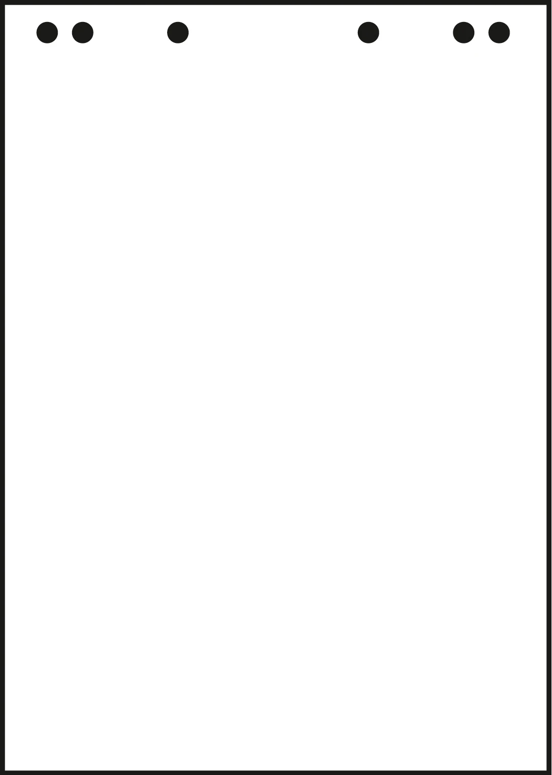 LANDRE Flipchart-Block 65x98cm 30000267 80g, blanko 5x20 Blatt