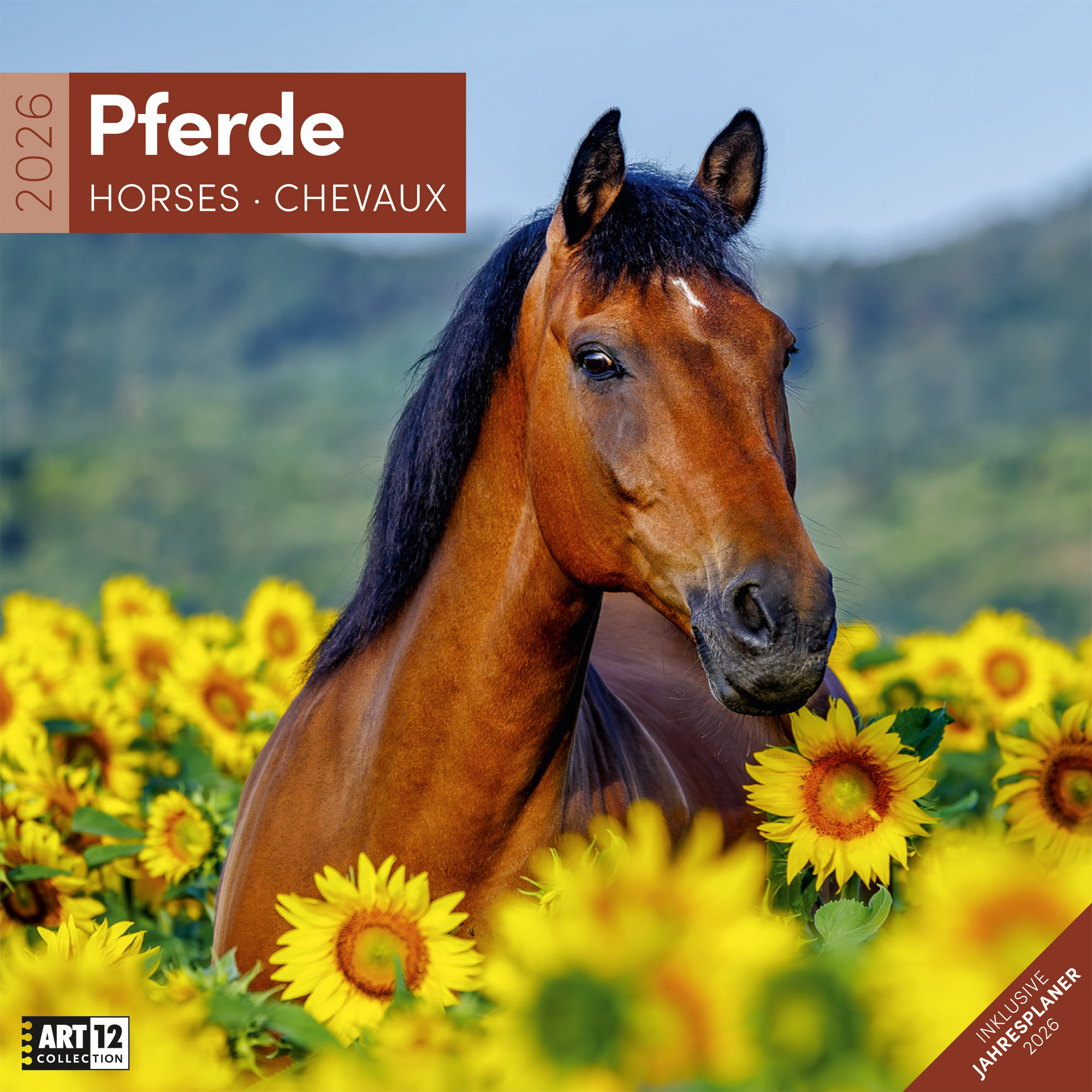ACKERMANN Bildkalender 2026 4621 Pferde ML 30x30cm