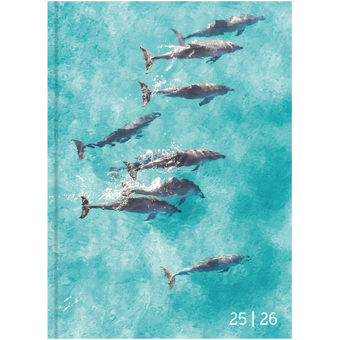 BIELLA Schüleragenda Animal 25/26 806544830026U 1T/1S 12x16.5cm