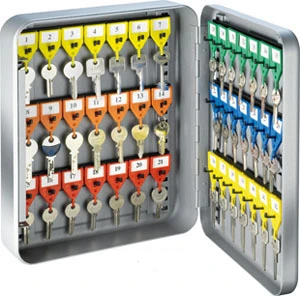 RIEFFEL SWITZERLAND Schlüsselkasten KyStor grau A15613 32x24x8cm 42 Haken