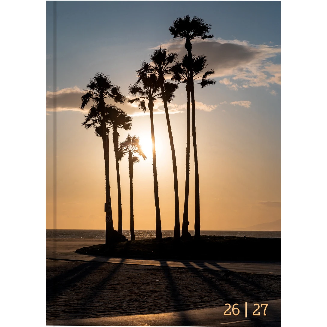BIELLA Schüleragenda Palms 26/27 806514840027U 1T/1S 12x16.5cm