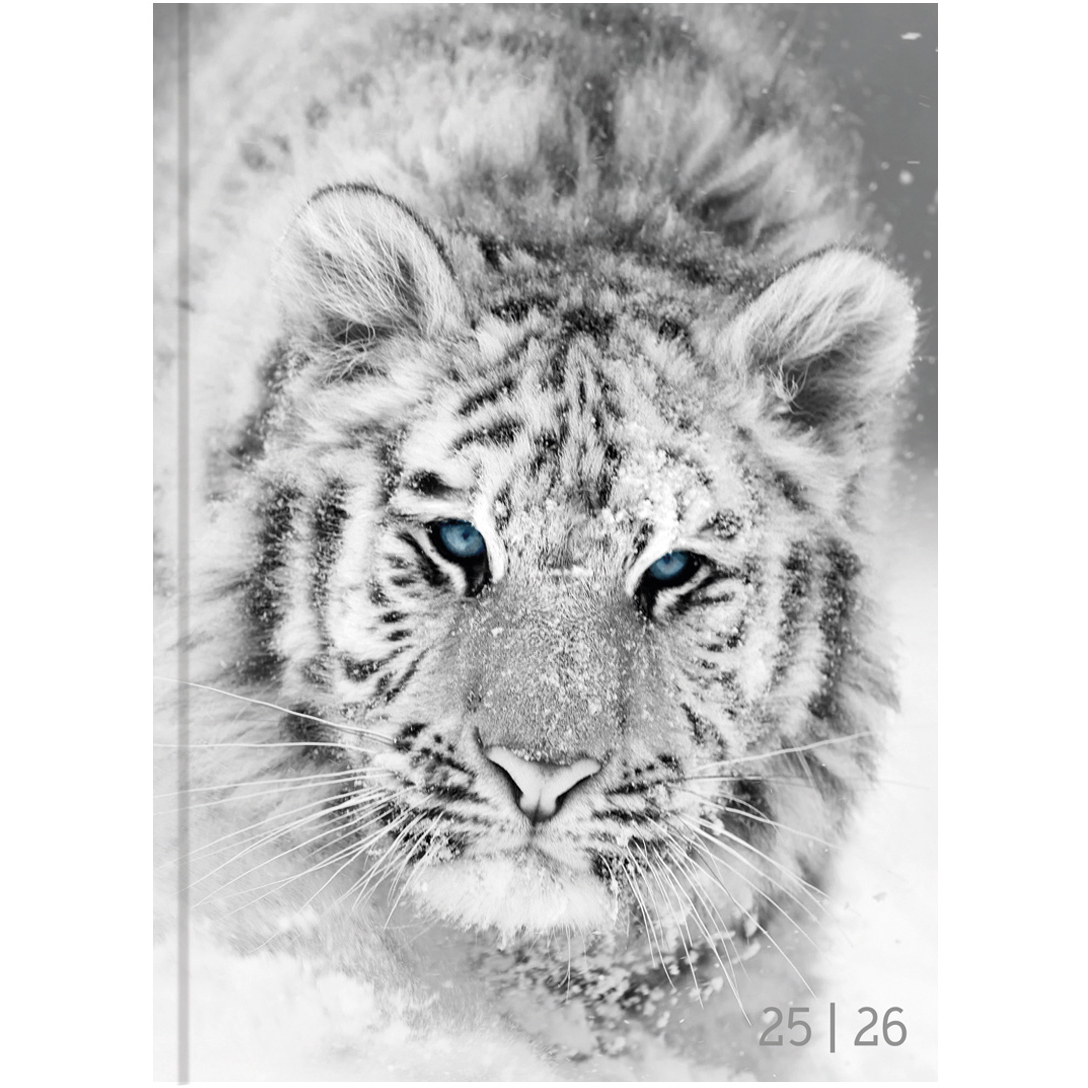 BIELLA Schüleragenda BlackWhite 25/26 806544860026U 1T/1S 12x16.5cm