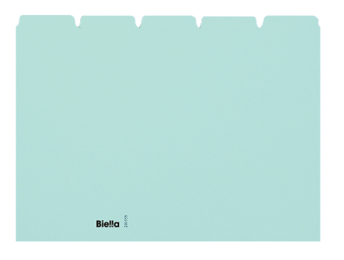 BIELLA Kartei-Leitkarten blanko A5 21055505U blau 25-teilig
