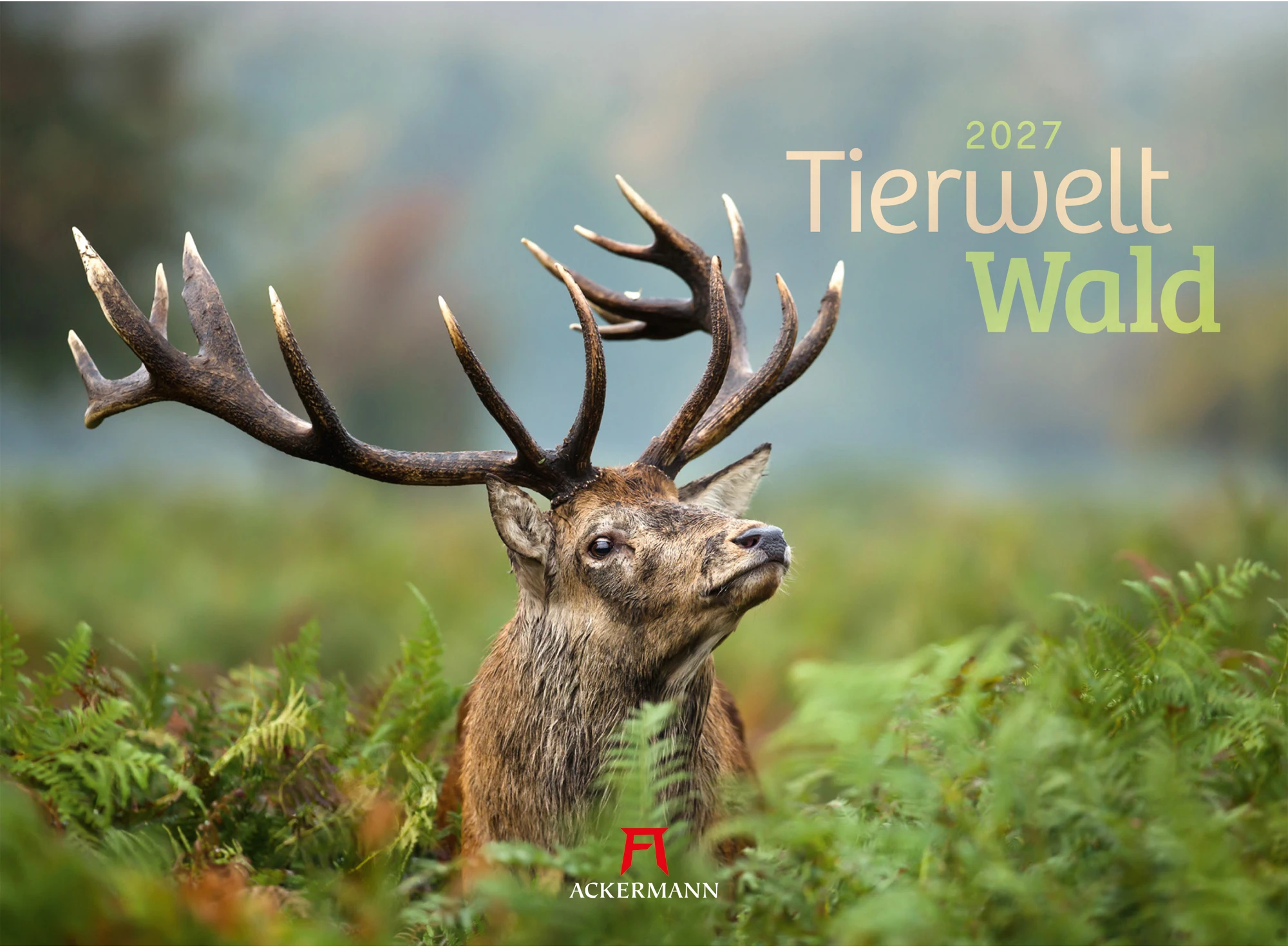 ACKERMANN Bildkalender 2027 2782 Tierwelt Wald D 45x33cm