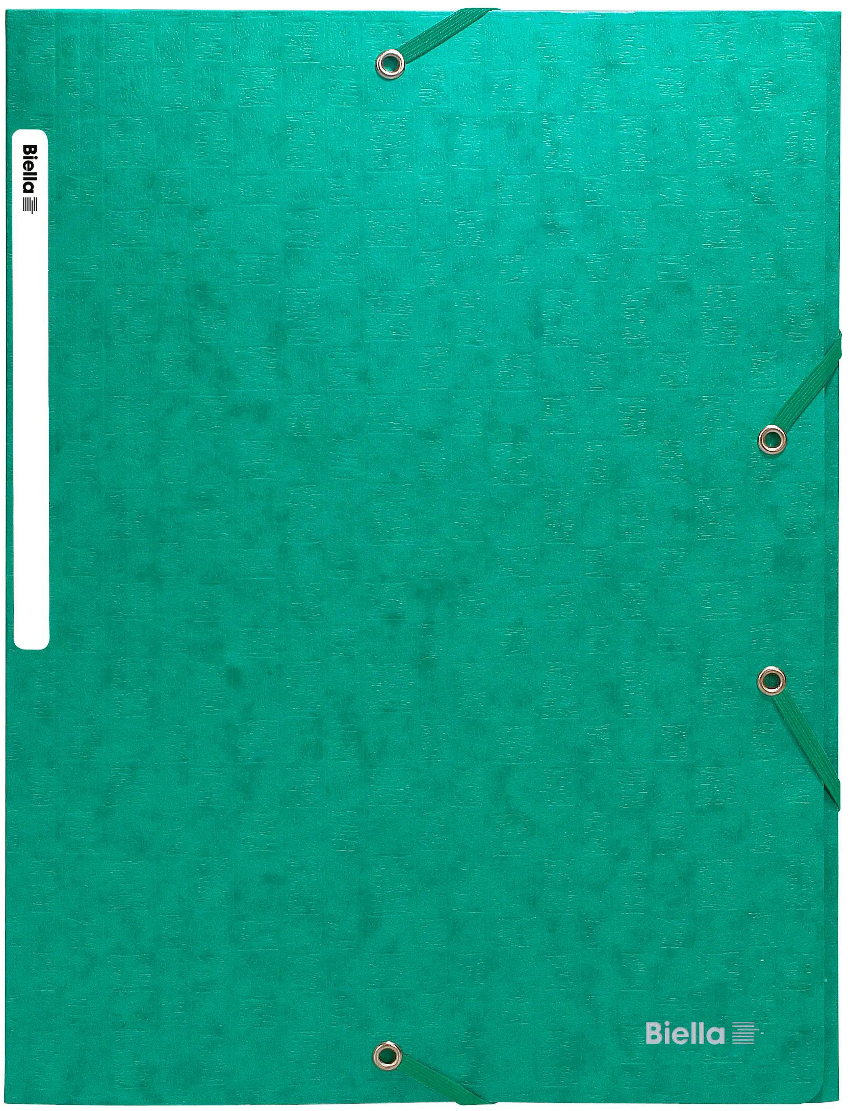 BIELLA Gummibandmappe A4 17840030U grün, 590gm2 220 Bl.