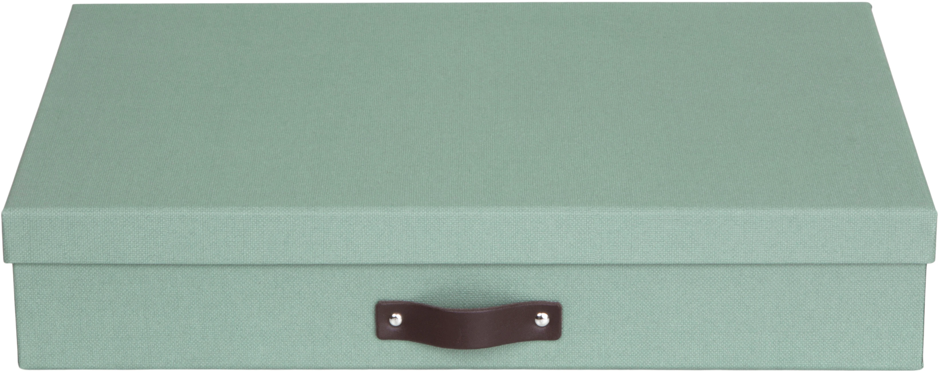 BIGSO BOX OF SWEDEN Aufbewahrungsbox Sverker A3 9341C1649L01 mintgrün 43.5x31x8.5cm