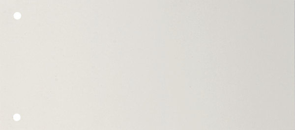 BIELLA Trennstreifen Karton 2 Loch 19919001U weiss, 24x10.5cm 100 Stk.