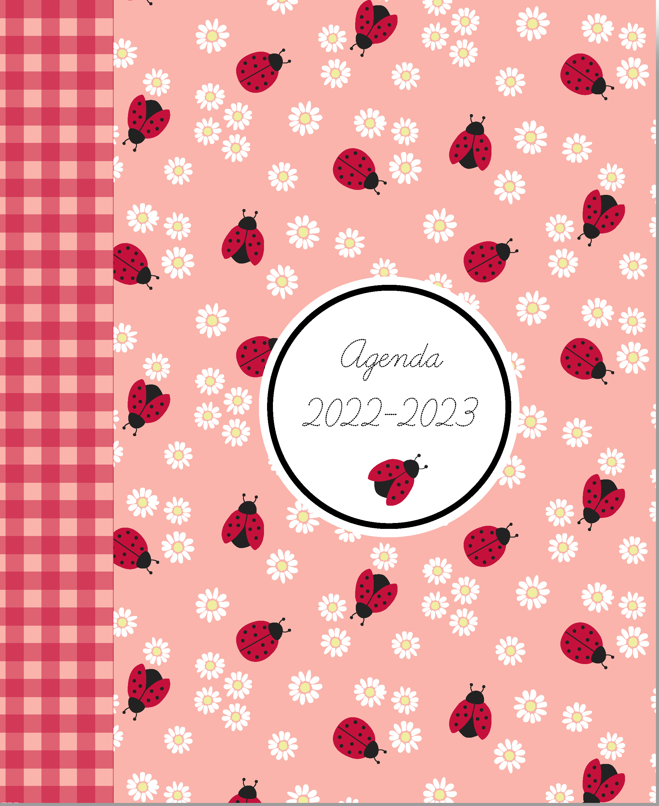 ANCOR Schüleragenda A5 LADY BUG 105032 22/23, 17M