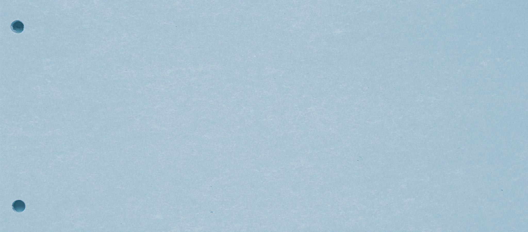 BIELLA Trennstreifen Karton 2 Loch 19919005U blau, 24x10.5cm 100 Stk.