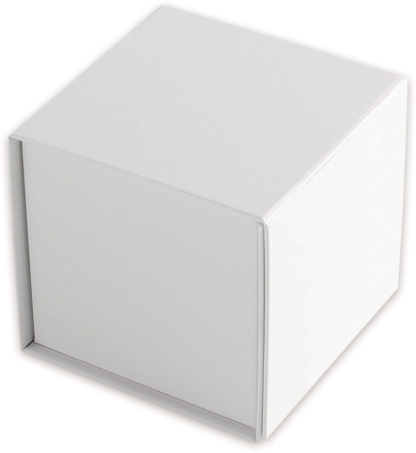 ELCO Magnetische Box Würfel 82112.10 weiss, 10x10x10cm 5 Stk.